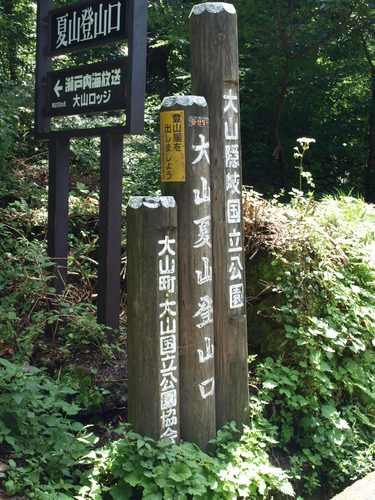 2009 08 25登山道.jpg
